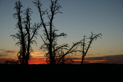 Sunset at the lodge