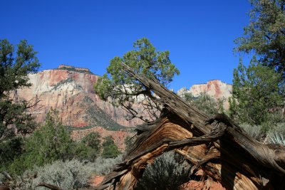 Watchtower Hike
