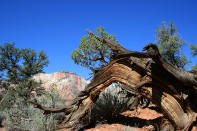 Watchtower Hike