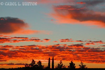 February Sunrise
