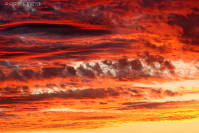 February Sunset