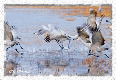 Lifting Off