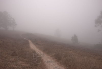 l7080104.jpg