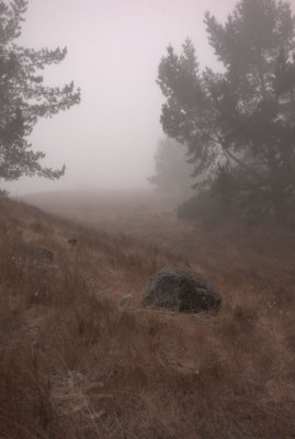 l7080108.jpg