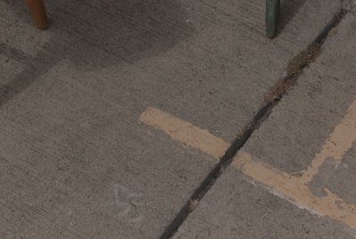 l1001607.jpg