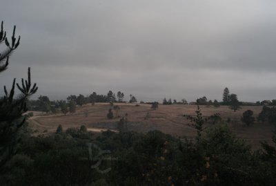 l1001410.jpg