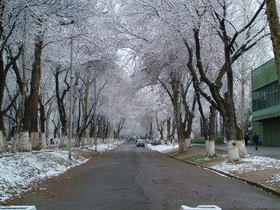 Winter Tashkent Uzbekistan.JPG