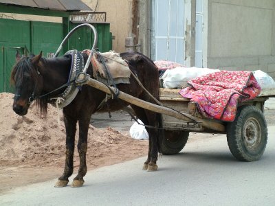 Bottle Taxi Tashkent Uzbekistan.JPG