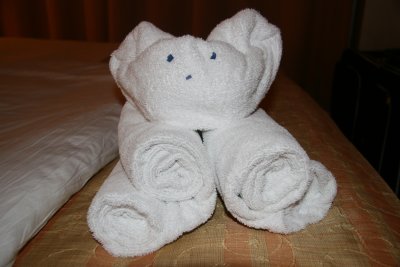 Towel Bear
