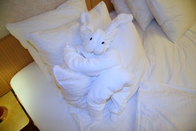 Towel Rabbit