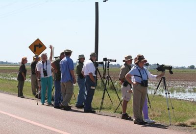 Group looking for the Phalarope that Jeff Wilson so kindly told us about