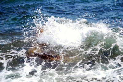 Splash