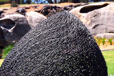 Sydney Park Art