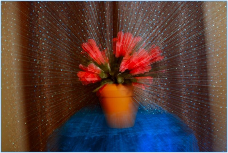 Flowered ZoomBlast