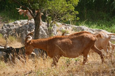 PC-IMG_6389.jpg