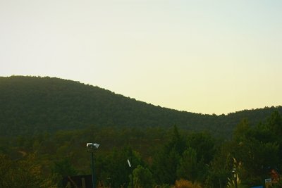 PC-IMG_6695.jpg