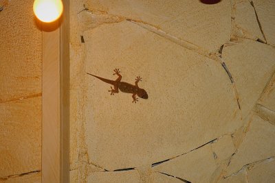 PC-IMG_6747.jpg