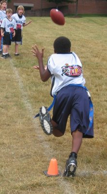 w7bears22.JPG