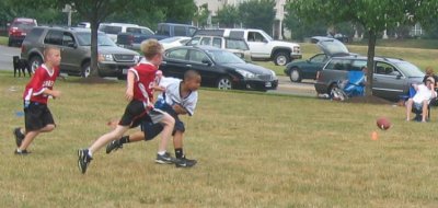 w7bears23.JPG