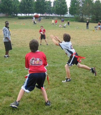 w7bears40.JPG