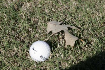 Golf-day-075.jpg