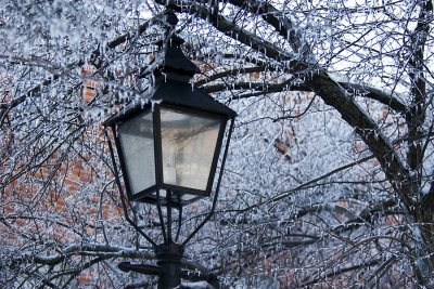 Newburyport lamp after ice storm
