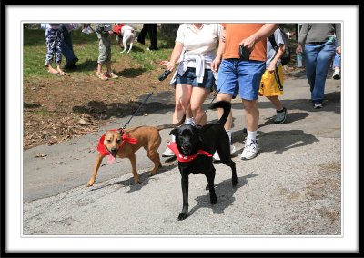 IMG_2772.jpg