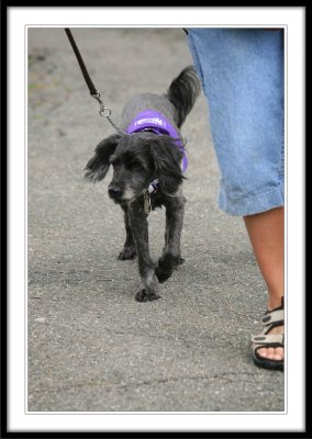 IMG_2891.jpg