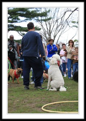 IMG_4536.jpg