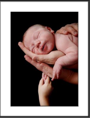 Baby Luke's 16 Day Newborn Photos