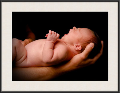 Reister_3707-vig copy.jpg