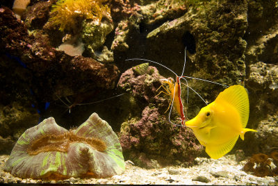 CarlFish_0505.jpg