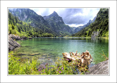 g6/16/252616/3/80847268.icnIr7zI.jpg