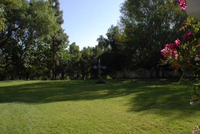 Garden 03.jpg