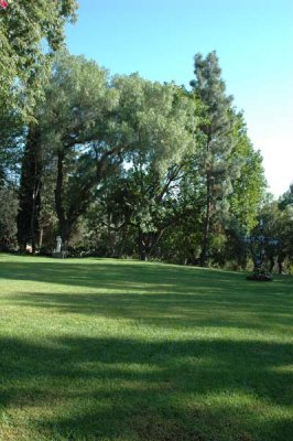 Garden 10.jpg