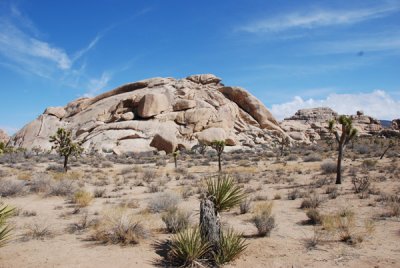 Rocks 04.jpg