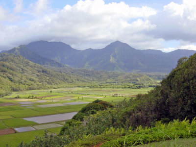 Hanalie Valley 02.jpg