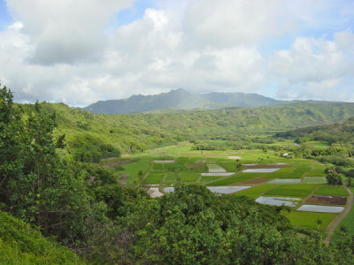 Hanalie Valley 03.jpg
