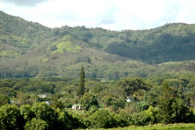 Paradise 01.jpg
