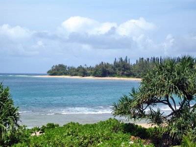 Paradise 05.jpg