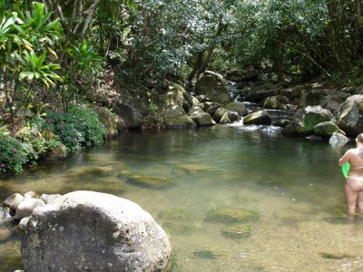 Pond 01.jpg