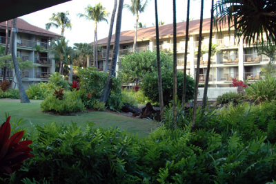Sheraton 01.jpg