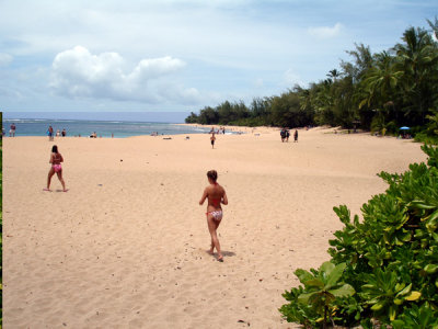 The Beach 01.jpg
