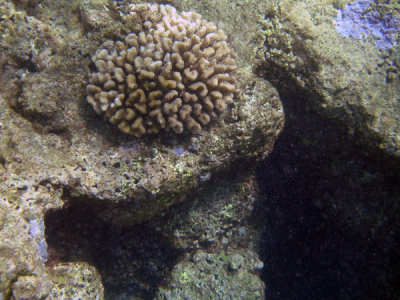 Underwater 02.jpg