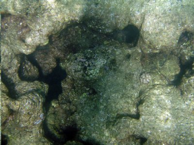 underwater 06.jpg