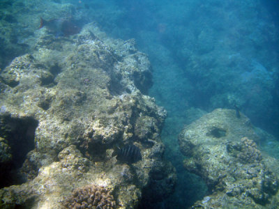 underwater 07.jpg