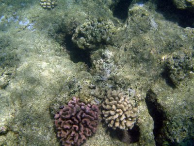 underwater 08.jpg