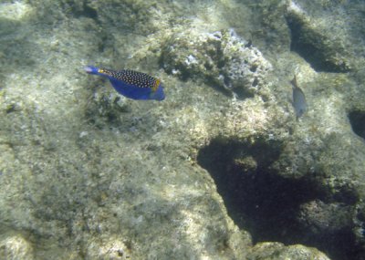 underwater 09.jpg