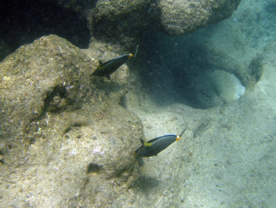 underwater 10.jpg