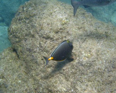 underwater 13.jpg